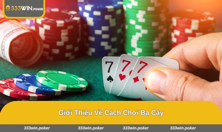 Bàn chơi ba cây với 3 lá bài được mở ra