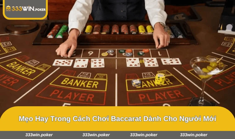 Người chơi ghi chú lại mức cược và theo dõi lịch sử cầu bàn