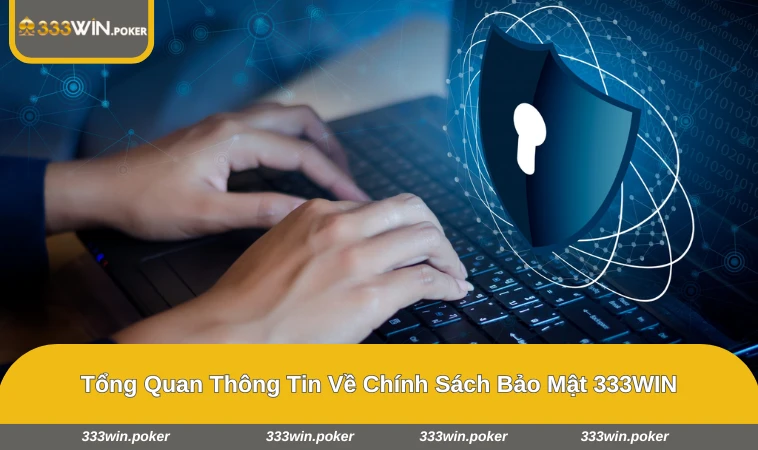 Bảo mật dữ liệu và mã hóa thông tin tại 333WIN