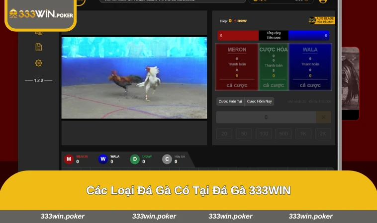 Các loại gà tham gia trận đấu tại sảnh đá gà