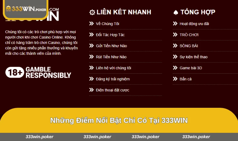 Giới Thiệu 333WIN 3 Giao diện hỗ trợ khách hàng và các chương trình khuyến mãi tại 333WIN
