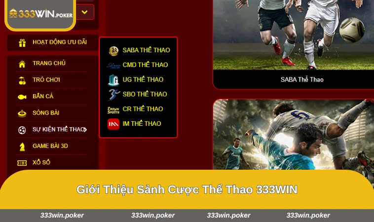 Nơi tổng hợp đầy đủ trận đấu và kèo nổi bật