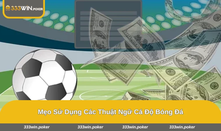 Người chơi ghi chú các thuật ngữ chính để ghi nhớ dễ dàng hơn