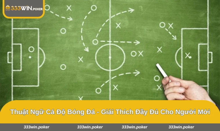 thuật ngữ cá độ bóng đá